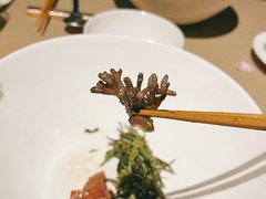 -曲廊院(东四十一条店)