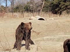 -沈阳森林动物园