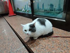 -食惠里小笼包面馆(越秀店)