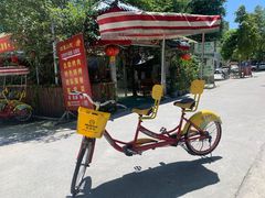 -罗家巷子休闲庄自助碳烤