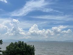 -深圳湾公园(南山区)