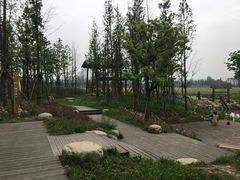 -长田漾湿地公园