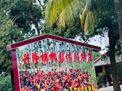 -兴隆槟榔园休闲农庄