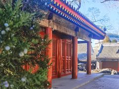 -北京艺术博物馆(万寿寺)