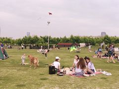 -栖露营camping·天幕烧烤·团建拓展·采摘营地
