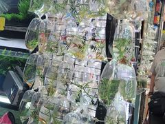 -华记潮州卤水车仔面(界限街店)