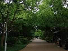 -长广溪湿地公园