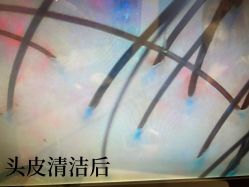 -西安F+造型
