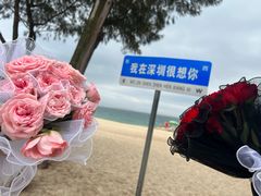 -玫瑰海岸文化旅游度假区