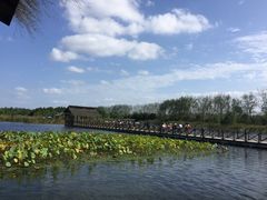 -溱湖国家湿地公园