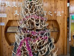 -北京鹿世界主题园