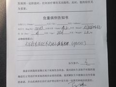 -康成宠物医院24H·CT·核磁共振