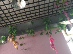 -玖月时尚泰式餐厅