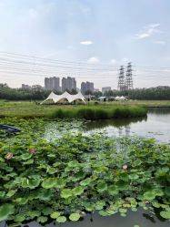 -268童话露营营地·烧烤·团建