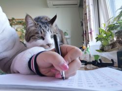 -如一·美甲美睫