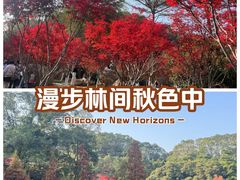 -广州市帽峰山景区