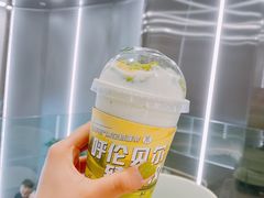 -茉酸奶(春熙路店)