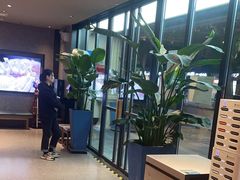 -杨氏青龙虾·羊蝎子(金盛路总店)