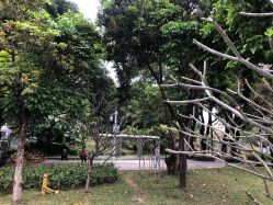 -深圳市妇幼保健院(红荔院区)