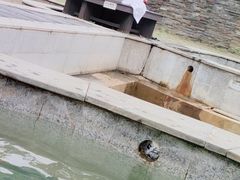 -咸宁万豪温泉谷度假区