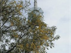 -陕西广播电视塔