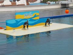 -秦皇岛乐岛海洋王国