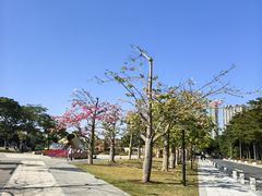 -海心沙亚运公园