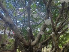 -名点荟·生日蛋糕·下午茶(五缘湾店)