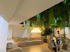 -Husky Go! 哈士奇体验馆·宠物咖啡厅狗咖