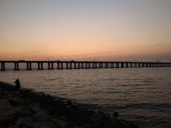 -宝安西湾红树林湿地公园