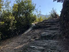 -羚羊峡古栈道森林公园