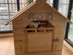 -Husky Go! 哈士奇体验馆·宠物咖啡厅狗咖