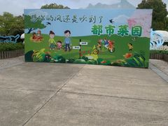 -上海都市菜园