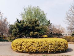 -将府公园