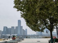 -天鹅湖体育公园