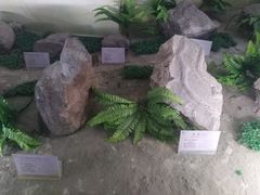 -延庆地质公园博物馆