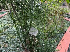 -广州神农草堂中医药博物馆