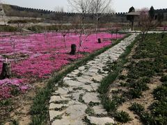 -抱犊寨风景区