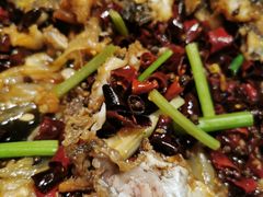 -老板恋上鱼(荣盛广场店)