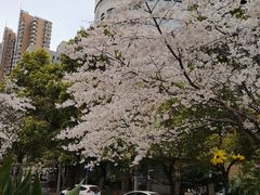 -玛格萝妮比萨屋(四平店)