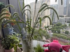 -浙江省中医院(湖滨院区)