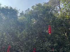 -杭州西湖风景名胜区-三生石