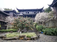 -重庆园博园