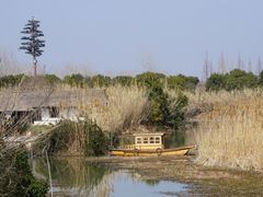 -沙家浜风景区