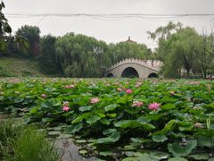 -二一九公园