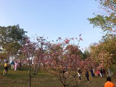 -聚龙山公园