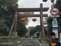 -阿巧茶庄