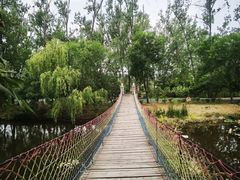 -滕州微山湖红荷湿地景区