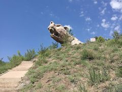 -乌素图国家森林公园