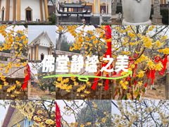 -报恩禅寺